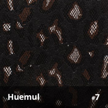 Huemul 7